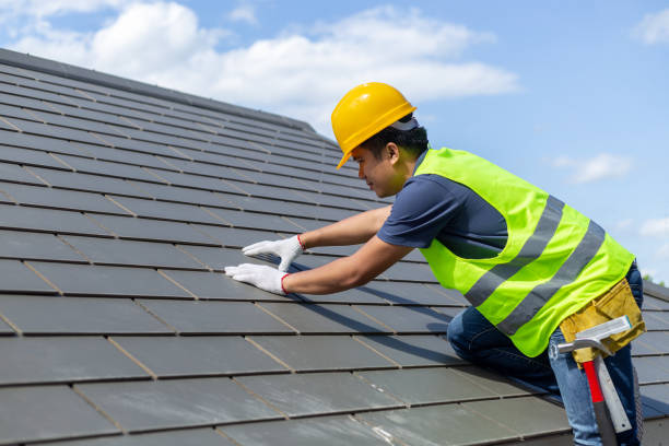 Best Roof Gutter Cleaning  in Saugerties South, NY