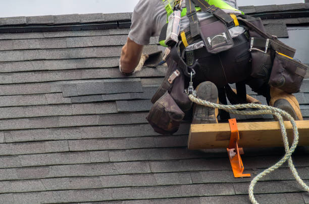 Best Storm Damage Roof Repair  in Saugerties South, NY